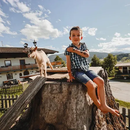 Steinerbauer Farm stay