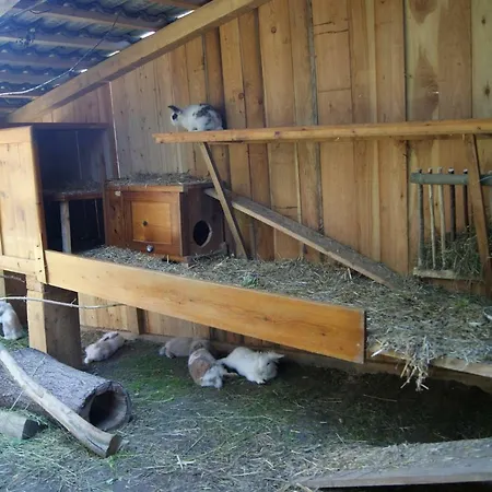 Steinerbauer Flachau