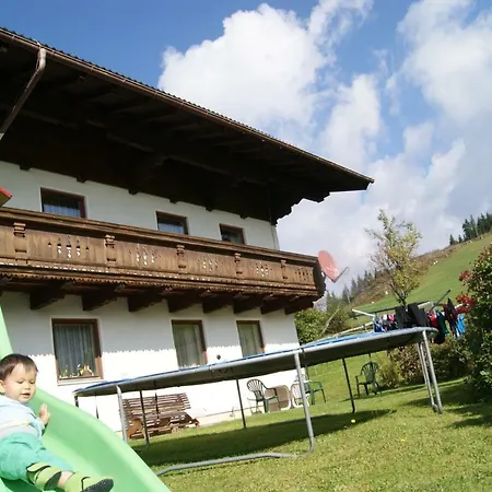 Steinerbauer *