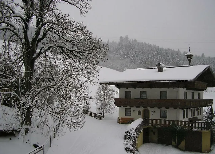 Steinerbauer * Flachau